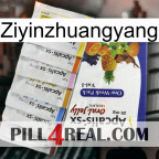 Ziyinzhuangyang 11
